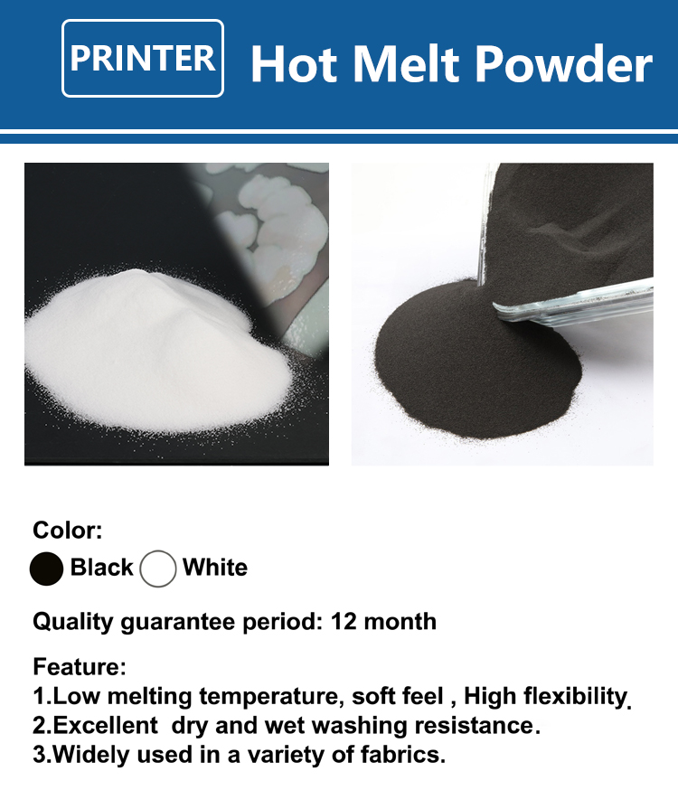 1000g 1kg DTF Powder Fine Powd - Commercial Fabric Printing Machine 评论和价格