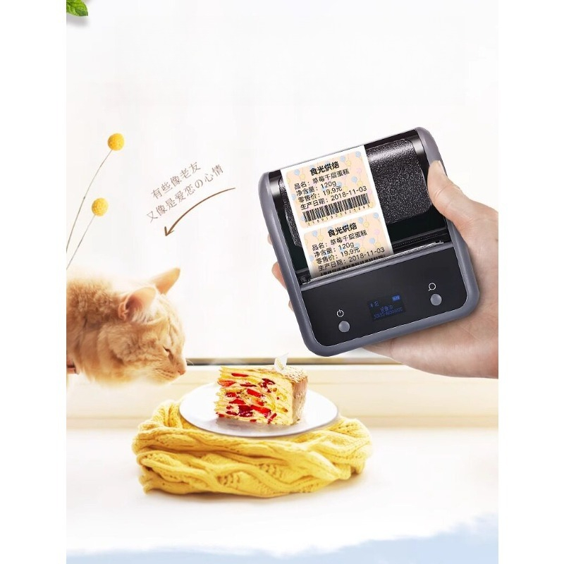B3S Commercial Food Portable B - Barcode Printer 评论和价格
